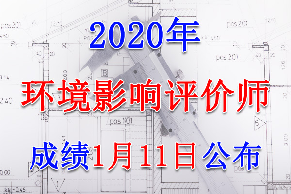 2020年新疆环境影响评价师考试成绩查询查分入口【1月11日开通】